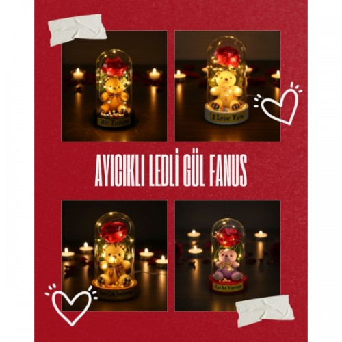 Ayıcıklı Ledli Gül Fanus 