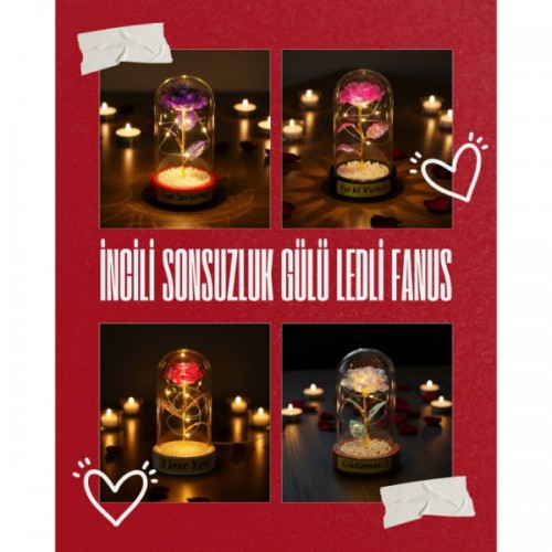 İncili Sonsuzluk Gülü Ledli Fanus 