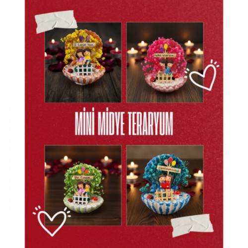 Mini Midye Teraryum - Özel Gün Hediyesi 