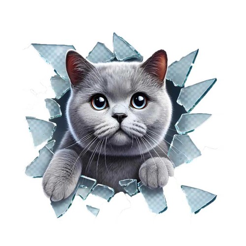 Fulcar Chiuahua Araç Stickerı