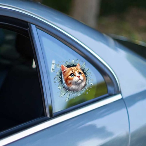 Fulcar Siamesse Araç Stickerı