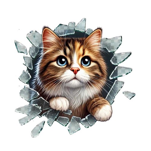 Geniş Açılı Lens Araç Kamera